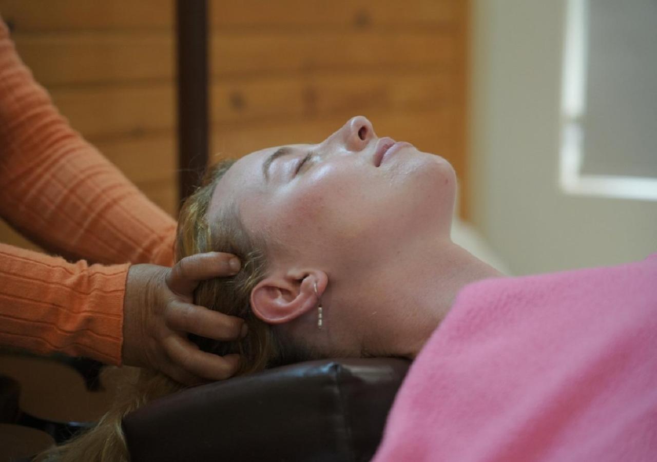 RishīkeshPanchakarma Retreat - Earth Roots Ayurveda别墅 外观 照片